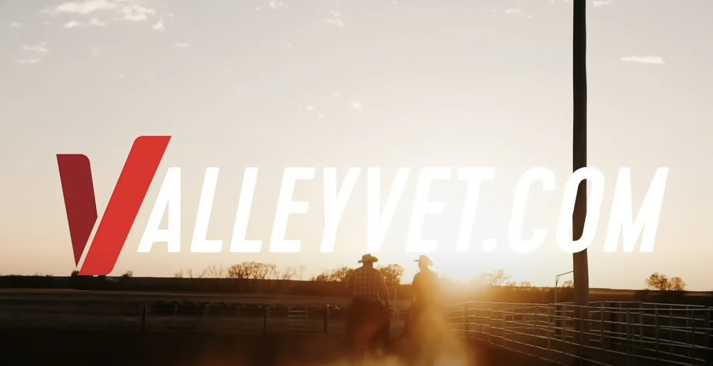 valleyvet image