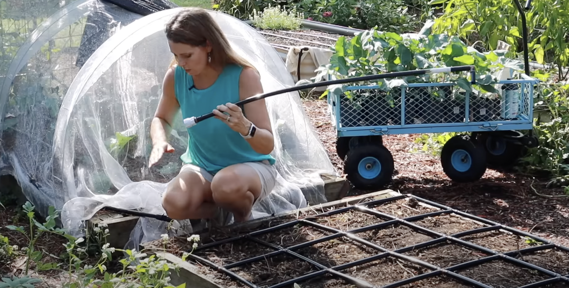 Woman planting some plants