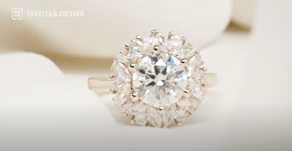Charles & Colvard Jewelry