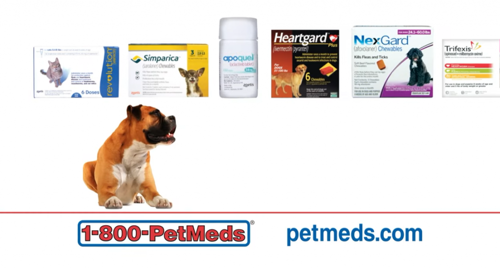 bull dog looking 1-800-pet-meds products
