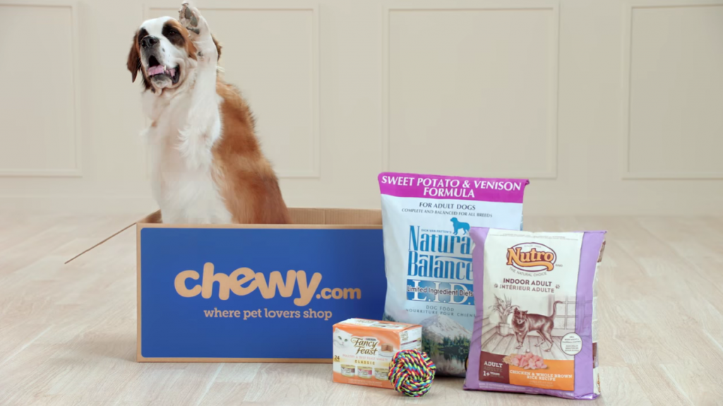 saint bernard dog inside of a chewy box next to a couple pet supplies