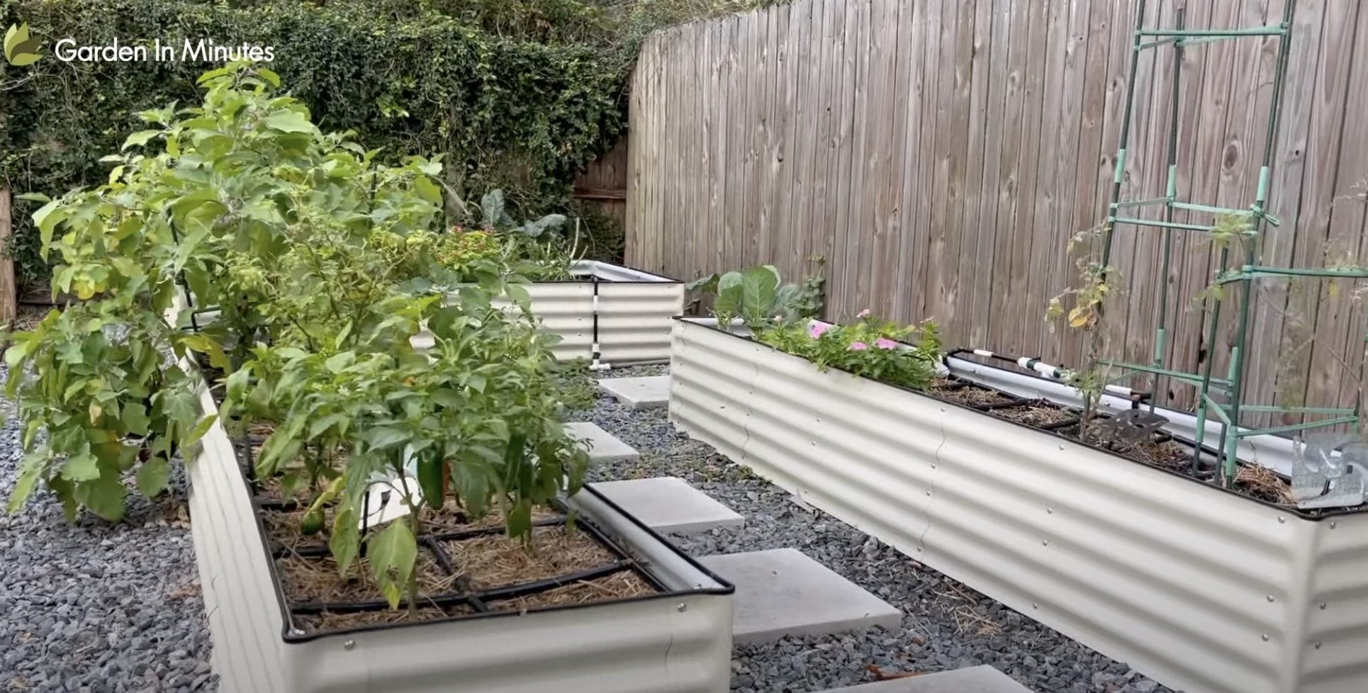 garden in minutes vegetable garden with some plants